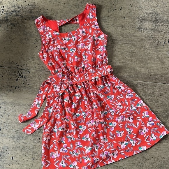 Gap Floral Print Cinch Waist Dress - Blaze - Picture 9 of 15